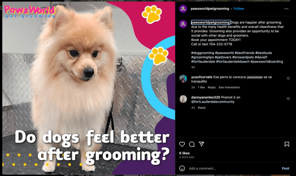 dog groomer expert