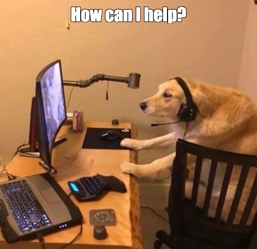 dog trainer business software meme